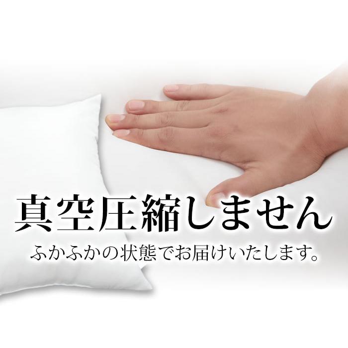 2個組 日本製 ヌードクッション 45x45cm 洗える テイジン中綿使用