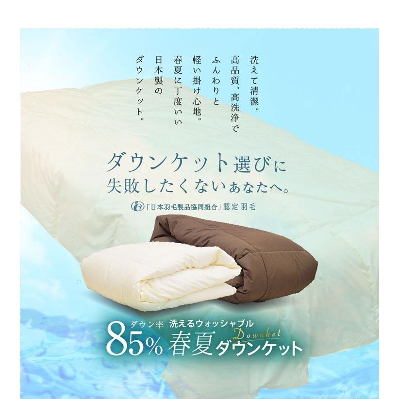 日本製 羽毛85% ダウンケット 0.2kg 2枚組 シングルロング 国産 羽毛
