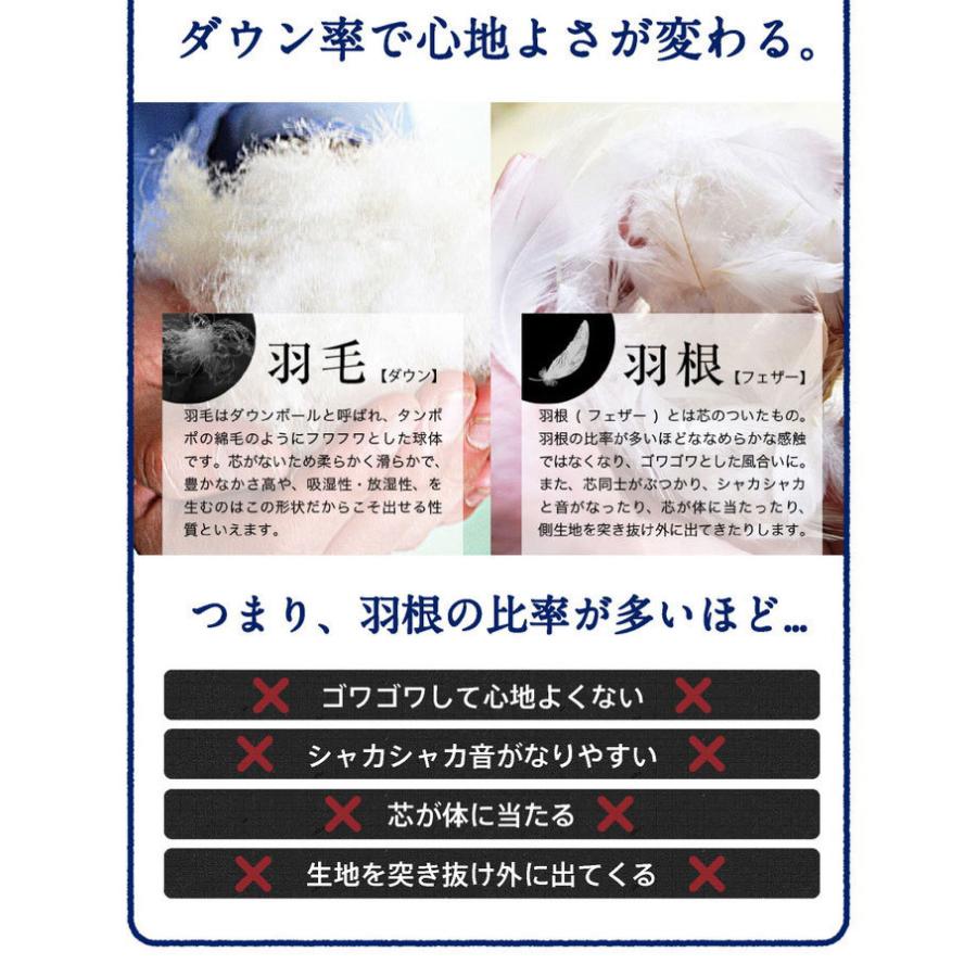 ダウンケット　シングルサイズ　0.3kg2枚セット ダウンケット 2枚セット 洗える 日本製 85% 0.3kg 羽毛肌掛け