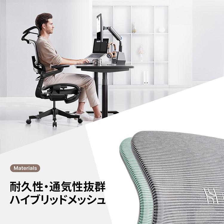 HINOMI H1 PRO V2-M Mサイズ エルゴノミクスチェア Ergonomics CHAIR