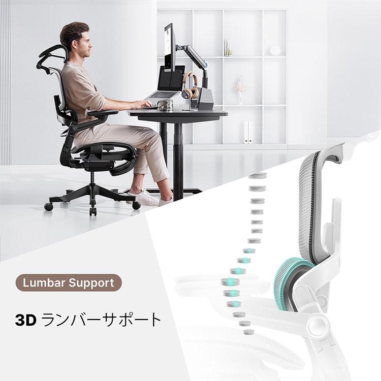 HINOMI H1 PRO V2-M Mサイズ エルゴノミクスチェア Ergonomics CHAIR