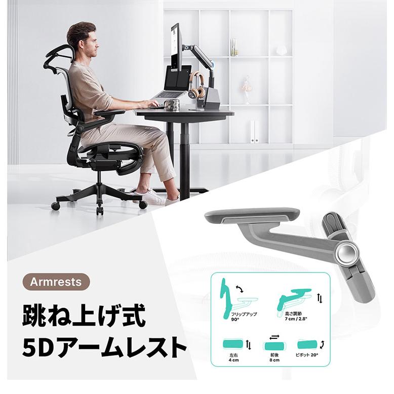 HINOMI H1 PRO V2-S Sサイズ エルゴノミクスチェア Ergonomics CHAIR