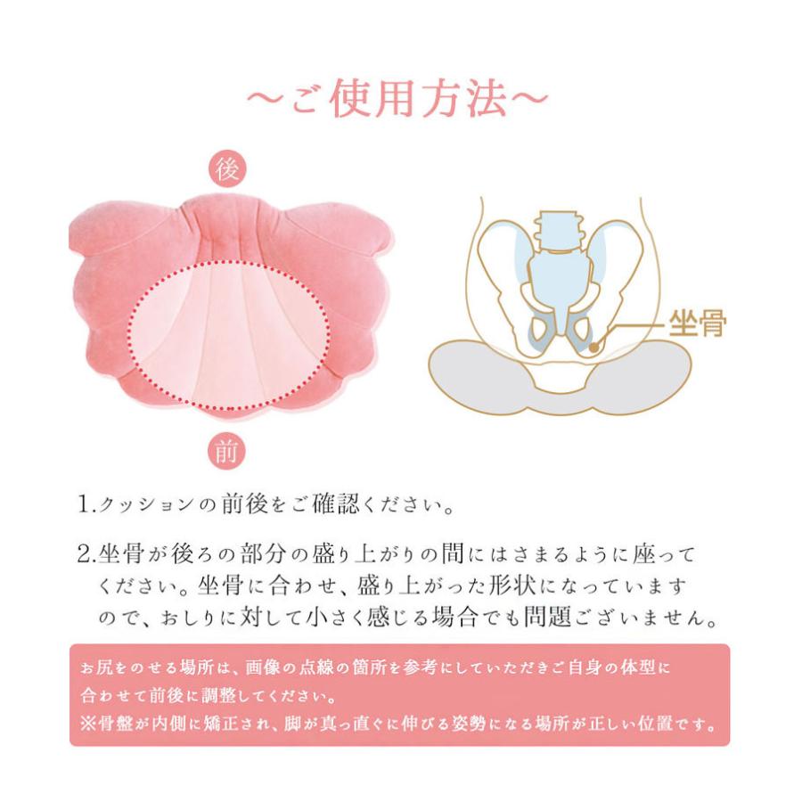 骨盤サポートクッション Beaucure 平子理沙プロデュース 骨盤シェル型クッション 幅39cm 骨盤矯正 クッション 美姿勢 骨盤クッション Nf Shell Csn リコメン堂インテリア館 通販 Yahoo ショッピング
