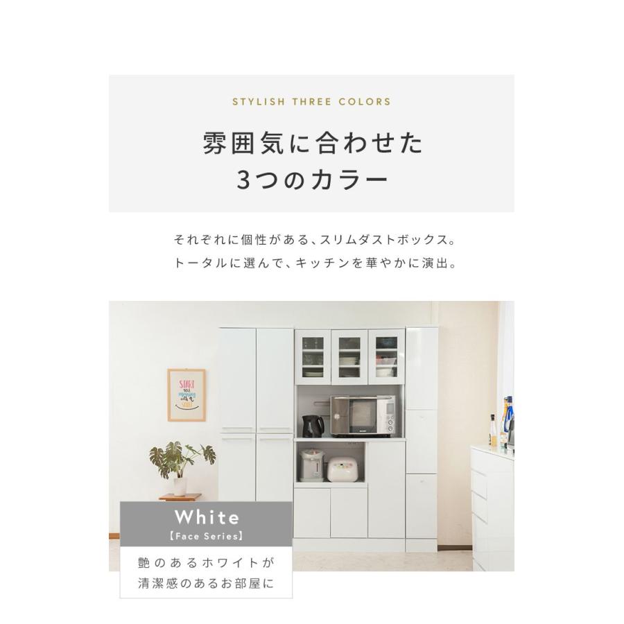 Face ダストボックス 28L 幅25cm スリム 2分割 分別 フラップ式 可動棚