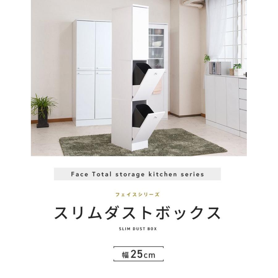Face ダストボックス 28L 幅25cm スリム 2分割 分別 フラップ式 可動棚