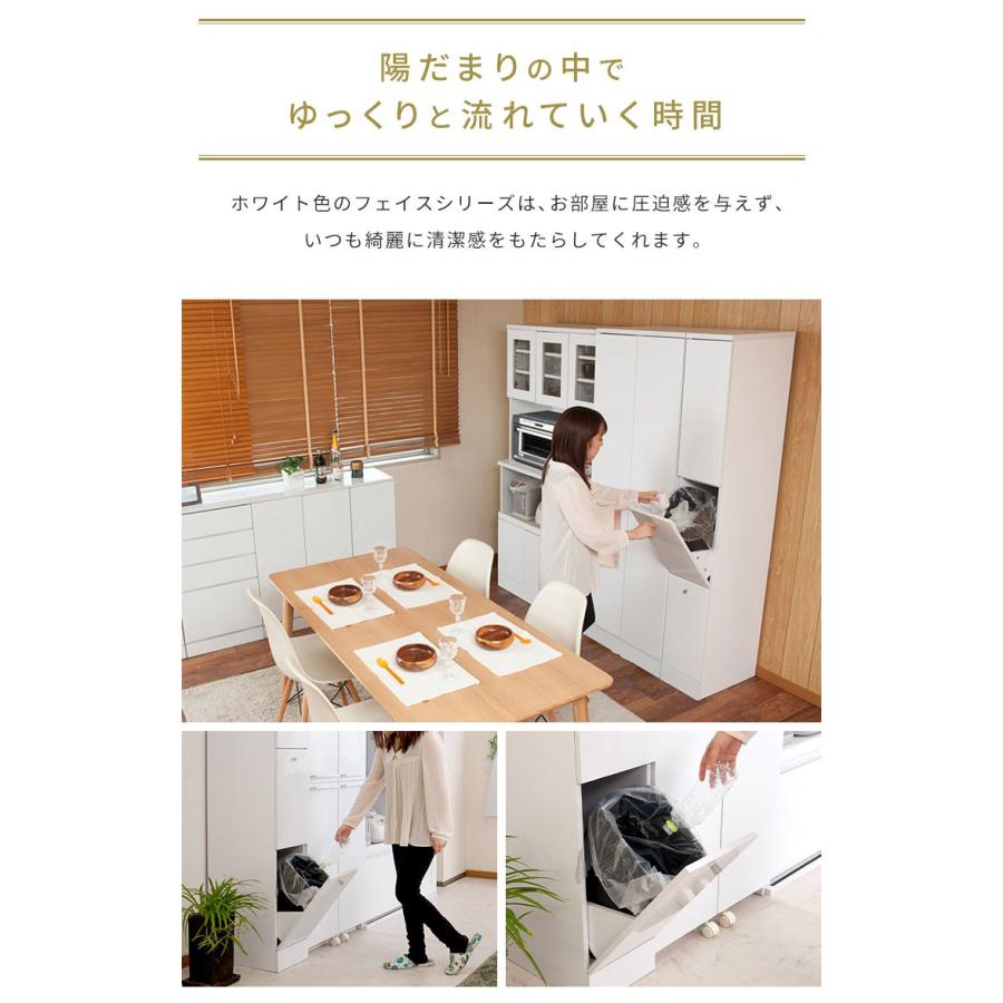 Face ダストボックス 28L 幅25cm スリム 2分割 分別 フラップ式 Face ダストボックス 28L 幅25cm スリム 2分割 分別 フラップ式