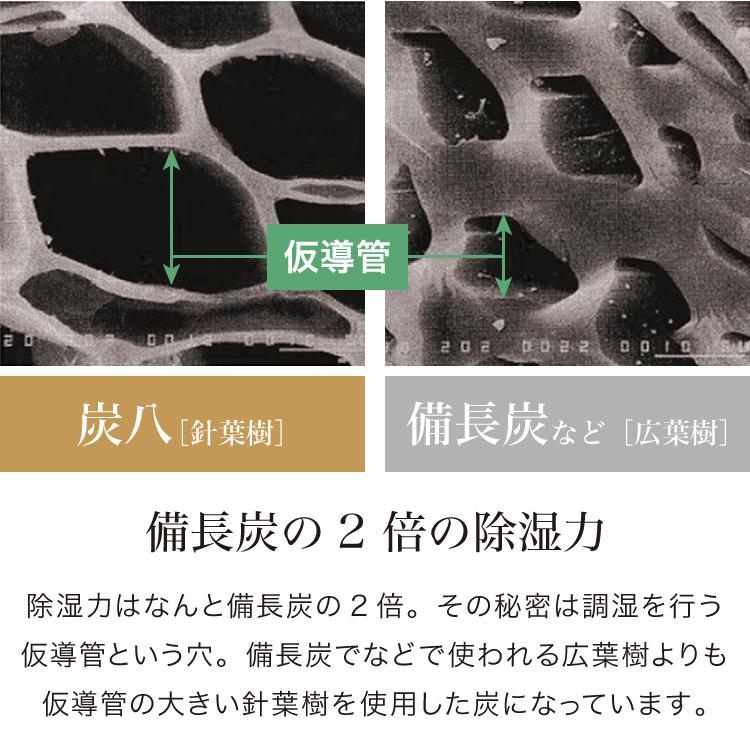 炭 木炭 除湿 調湿 脱臭 消臭剤 湿気 対策 結露 炭八4種類の組み合わせセット Bセット 大袋 室内用 押入れ用 タンス用 小袋 調湿対策 下駄箱用 代引不可_3