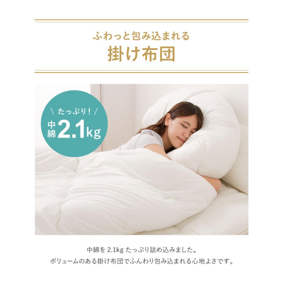 日本製 掛け布団 クイーン 洗える 抗菌防臭 防ダニ テイジン マイティ