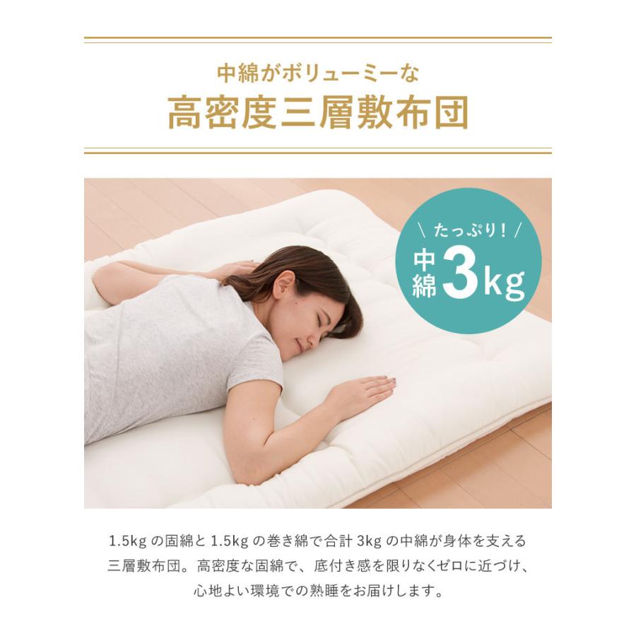 TEIJIN（テイジン） 日本製 布団セット 3点 シングル 国産 防ダニ 抗菌