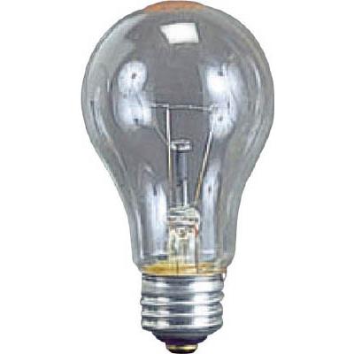 ハタヤ 耐振電球100Ｗ ＩＬＩ、ＫＬ型用 TD-100 作業灯・照明用品・作業灯｜rcmdin