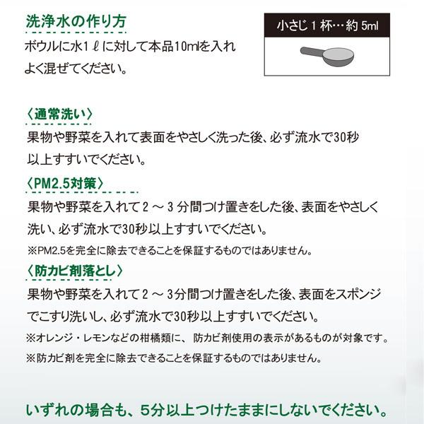 地ノ塩 フルーツ&ベジタブルウォッシュ 詰め替え用 280ml 代引不可｜rcmdin｜02