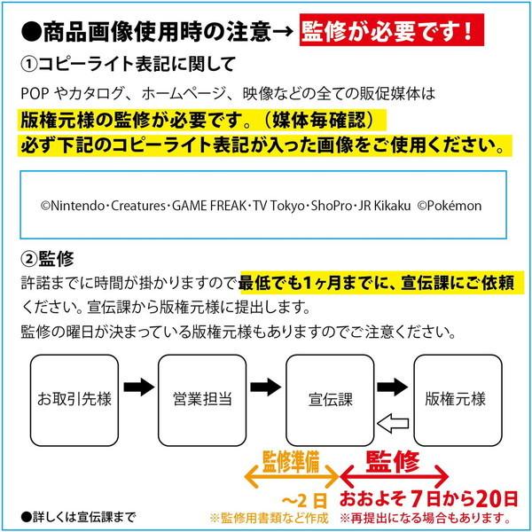 パーラービーズ ポケットモンスター クリスタルケースセット カワダ 玩具 おもちゃ｜rcmdin｜06