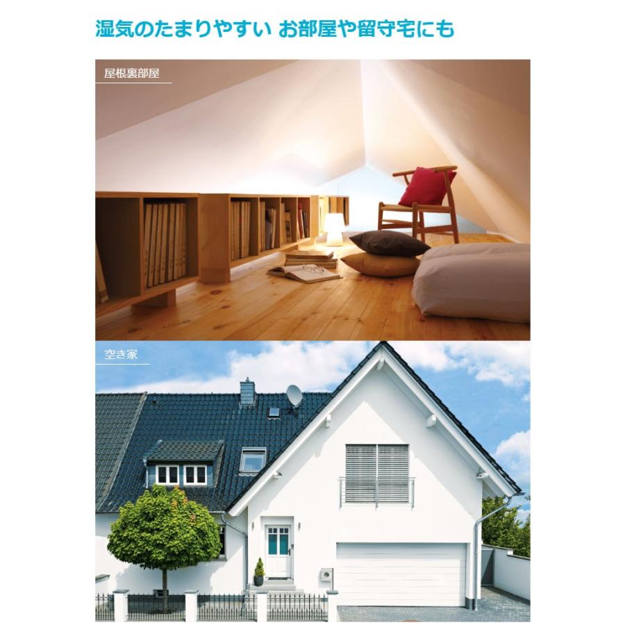 あすつく対応 ダイキン カライエ 住まい向け除湿乾燥機 JKT10VS-W 