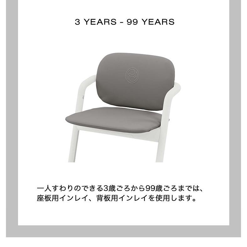 サイベックス cybex レモチェア 専用クッション シート シート