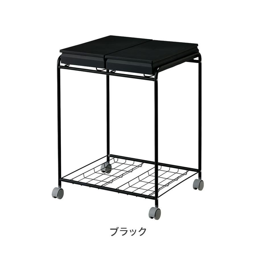 ゴミ箱 分別 2分別フレームダストワゴン フタ付き 45L 30L 対応 大容量