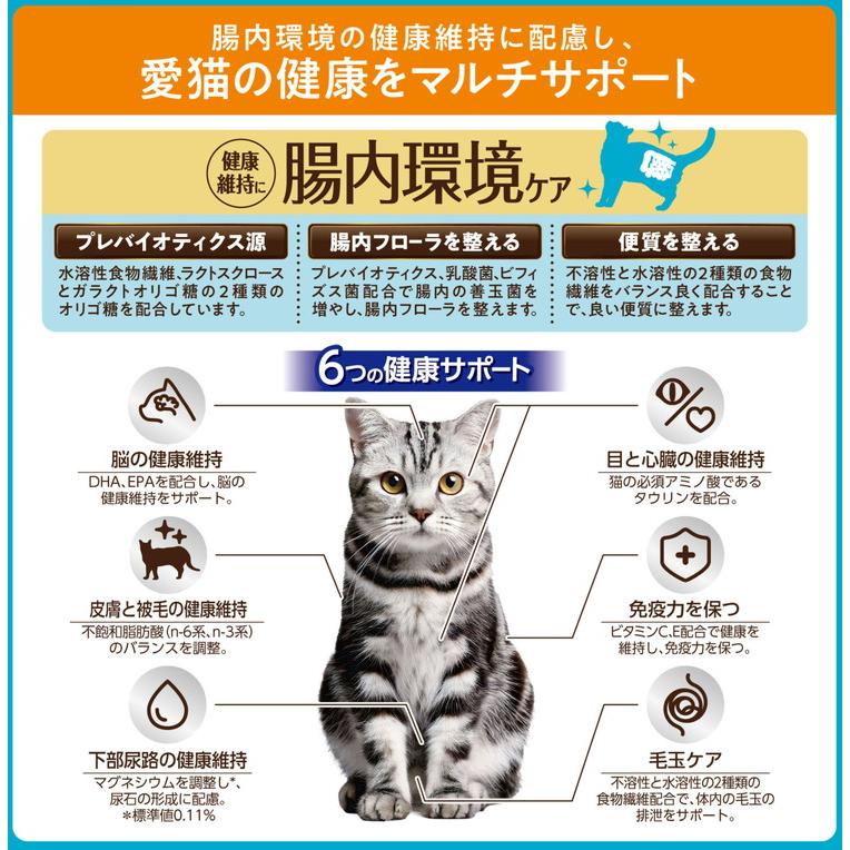 4個セット アイシア i CARE キャットドライ 成猫用 チキン味 1.2kg_1