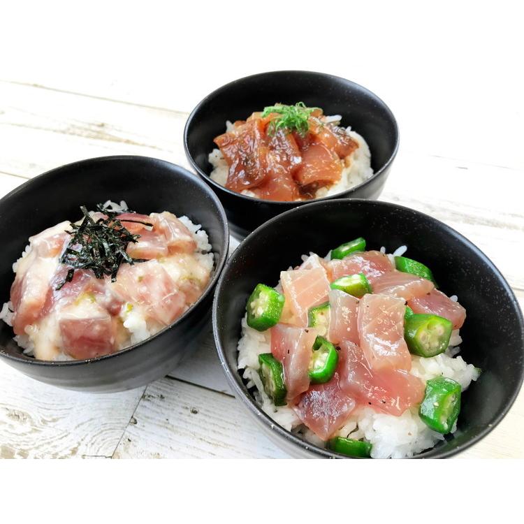 静岡 まぐろ惣菜丼の具 3種詰合せ ギフト 産直 ご当地グルメ 熨斗 贈り物 新生活 お祝い お取り寄せ のし対応 プレゼント 誕生日 代引不可_1
