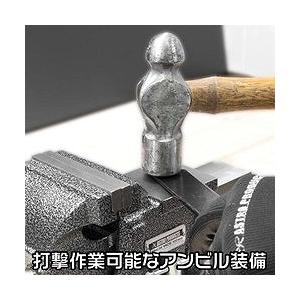 ブランド登録なし - アストロプロダクツ AP ベンチバイス 100粍 BV791 2003000007916 手作業物の具 クランプ バイス バイス 代引不可