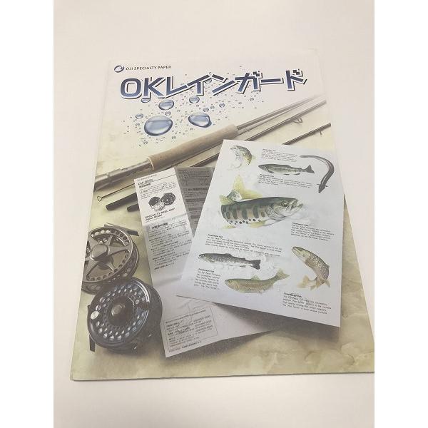 ＯＫレインガード Ｂ５ Ｔ 157ｇ（135kg 2000枚パック 1枚あたり8.4円) 代引不可_2