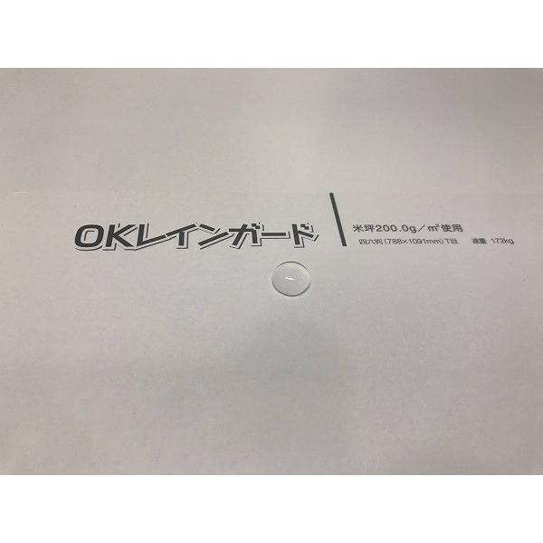 ＯＫレインガード Ｂ５ Ｔ 157ｇ（135kg 2000枚パック 1枚あたり8.4円) 代引不可_3