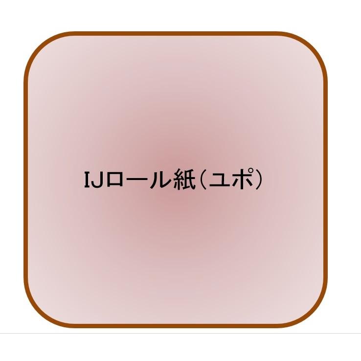 ユポ品 1270mmｘ30ｍ 170μ 代引不可