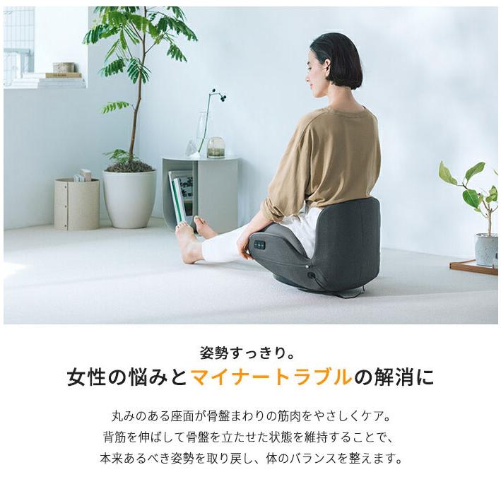 AiMY フェムエア スイング AIM-FN074 骨盤底筋 ケア チェア 骨盤
