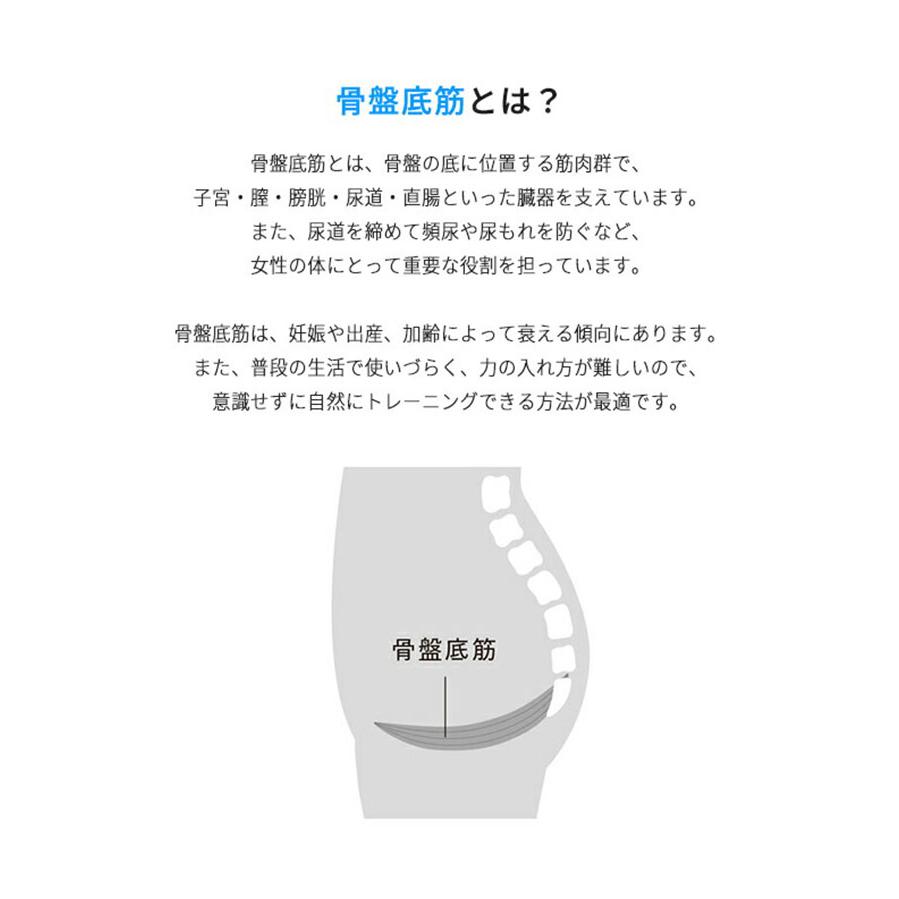 AiMY フェムエア スイング AIM-FN074 骨盤底筋 ケア チェア 骨盤