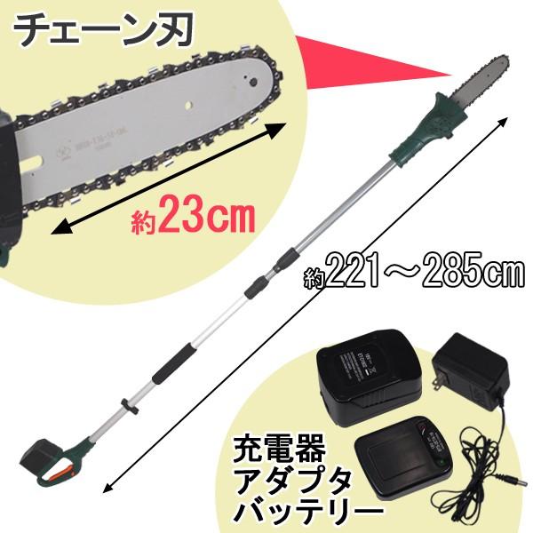 電動高枝切りチェーンソー 高枝健太郎くんPRO 充電器付き YSGT