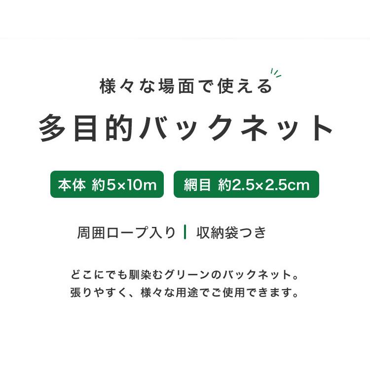 バックネット 野球 5×10m 網目2.5cm グリーン 防球ネット ネット 保護用ネット 多目的ネット ゴルフネットバッティングネット カラスよけ｜rcmdse｜03