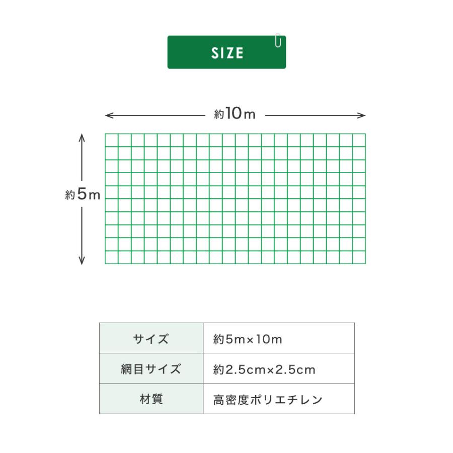 バックネット 野球 5×10m 網目2.5cm グリーン 防球ネット ネット 保護用ネット 多目的ネット ゴルフネットバッティングネット カラスよけ｜rcmdse｜09