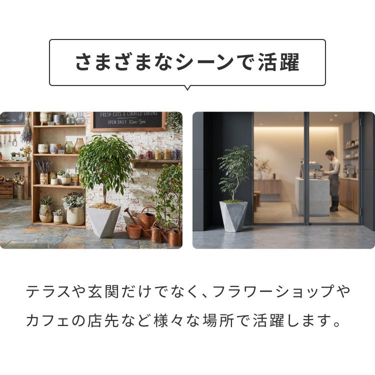 プランター 大型 38cm×38cm 三角形 シャープ コンクリート ファイバークレイ 軽量 おしゃれ モダン 打ちっぱなし テーパー型 ポリゴン ガーデニング 代引不可の画像