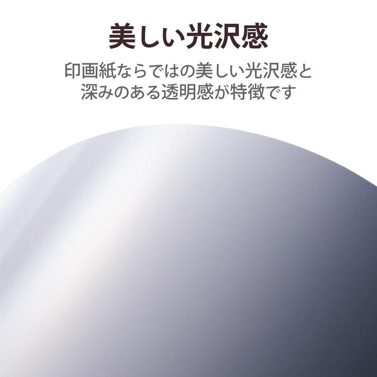 エレコム プリンター用紙 写真用紙 A3 10枚 光沢 印画紙 最上級グレード紙 厚手 インクジェット用紙 ホワイト EJK-PROA310 代引不可 プリンター用紙、コピー用紙 下田漁具 HPタコベイト 夜光 (A-F) 2.5寸 夜光A-F64