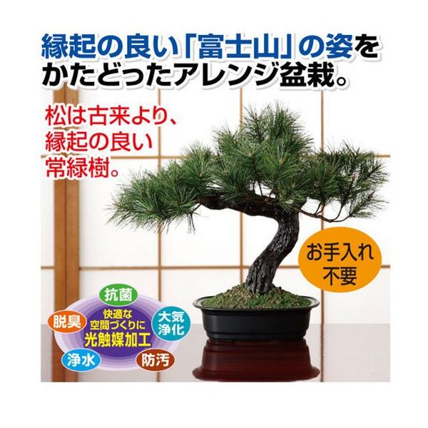 盆栽 アレンジ 富士の松 松 富士 ミニ黒松 松盆栽 手頃 プチ 室内 観葉植物 鉢植え 黒松盆栽 松の盆栽 セット 万古焼 盆栽鉢 代引不可 Fl リコメン堂生活館 通販 Yahoo ショッピング