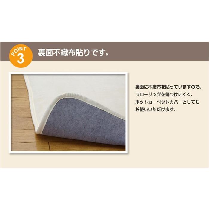 水分をはじく 撥水加工カーペット 『撥水リラCE』 ベージュ 200x300cm 代引不可の画像