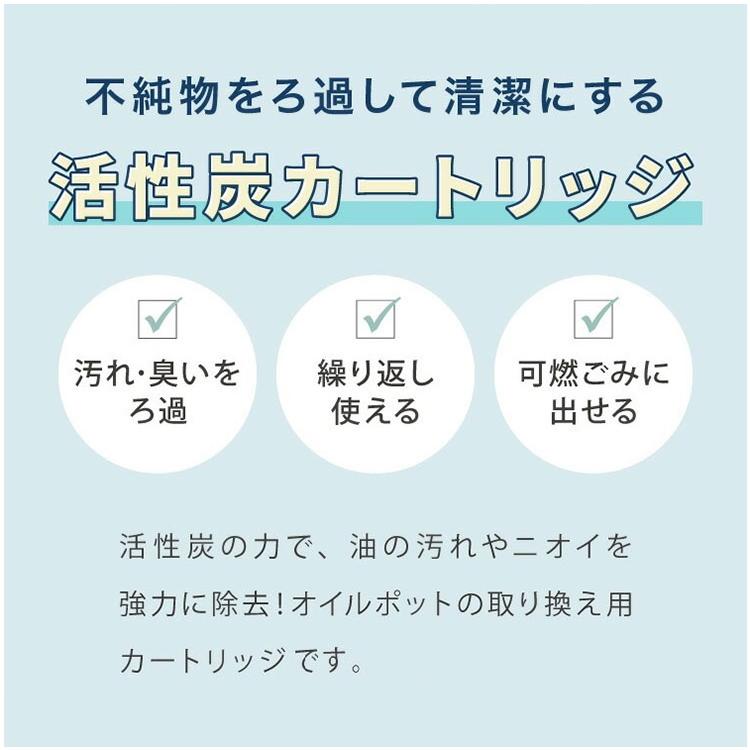 素粒子　[キッチン用]　カートリッジ2個セット 野田琺瑯 活性炭カートリッジ 2個セット ロカポ用 NOL-C2P 日本製