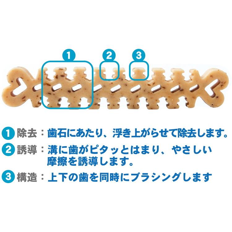 しゃかいのいぬさま専用品 フォーキャンス デンティ3フェアリー BOX SS : リコメン堂生活館