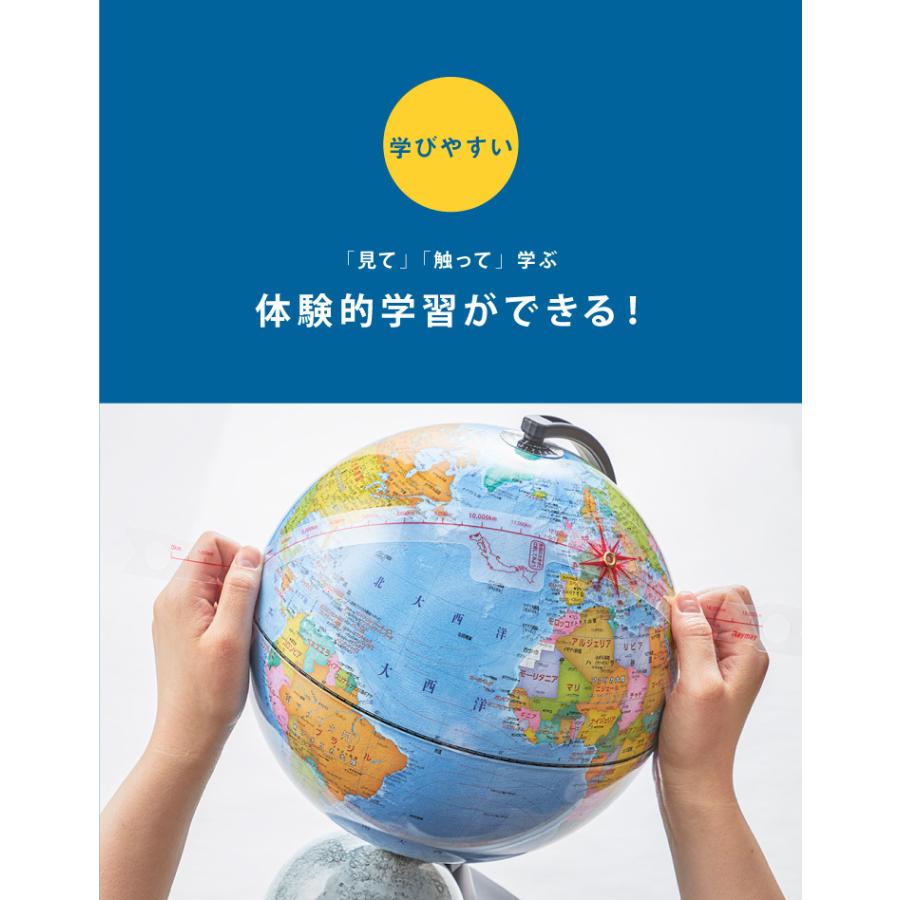 レイメイ藤井 ライト付き二球儀 地球儀/天球儀/月球儀 OYV273