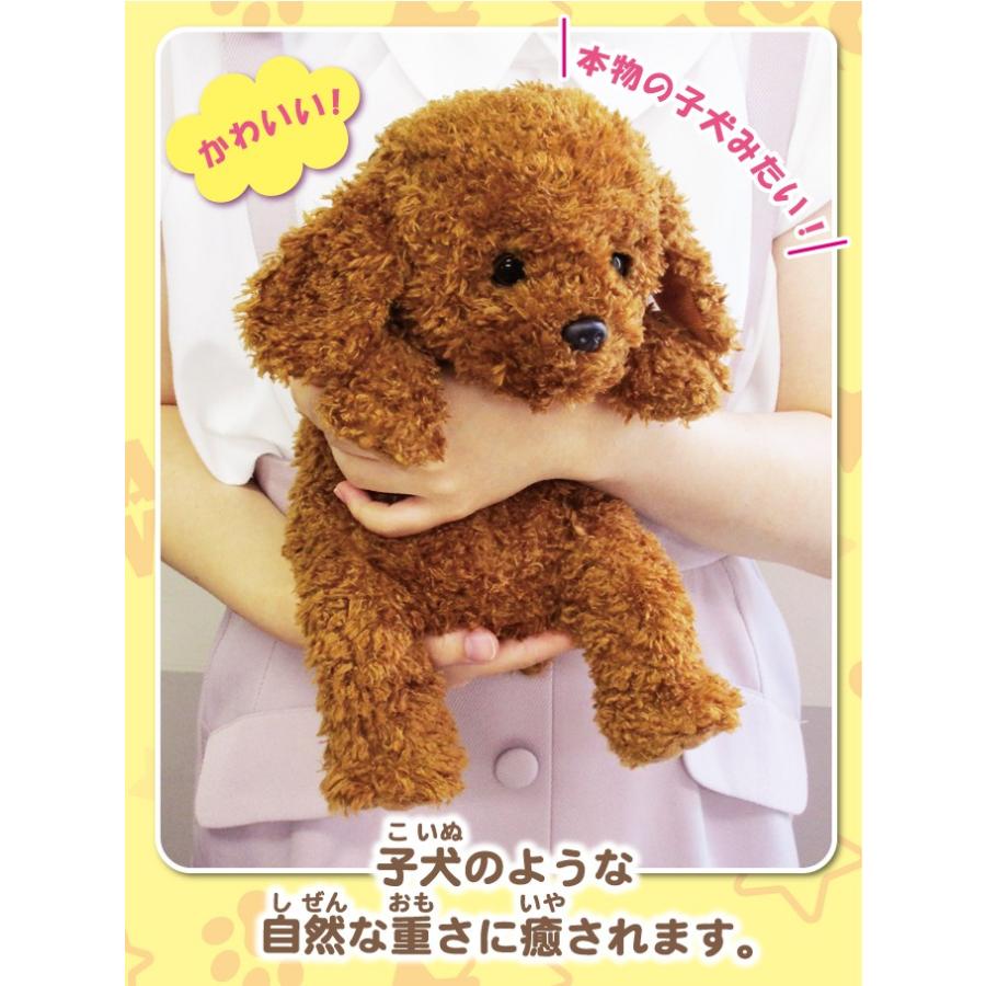 おやすみワンちゃん トイプードル ココアちゃん かわいい 動くぬいぐるみ コミュニケーション アクション おもちゃ 代引不可 Ls リコメン堂生活館 通販 Yahoo ショッピング