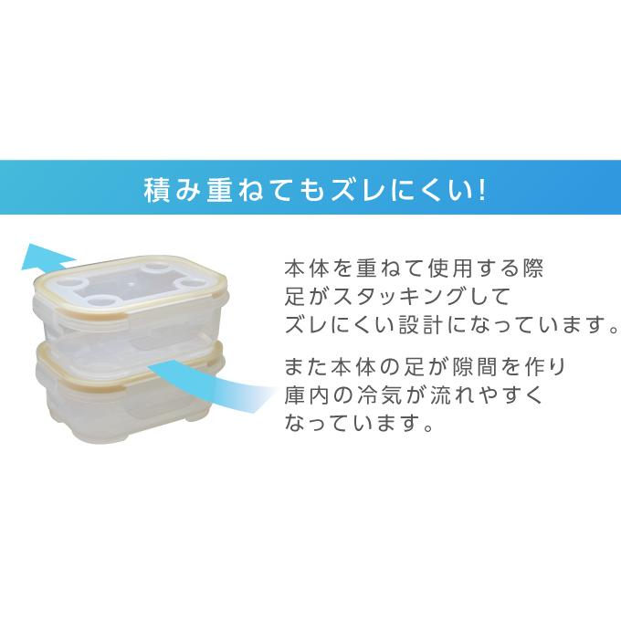 NNS-10S ナノシルバーネオ抗菌密閉容器10点セット 容器 保存容器 料理