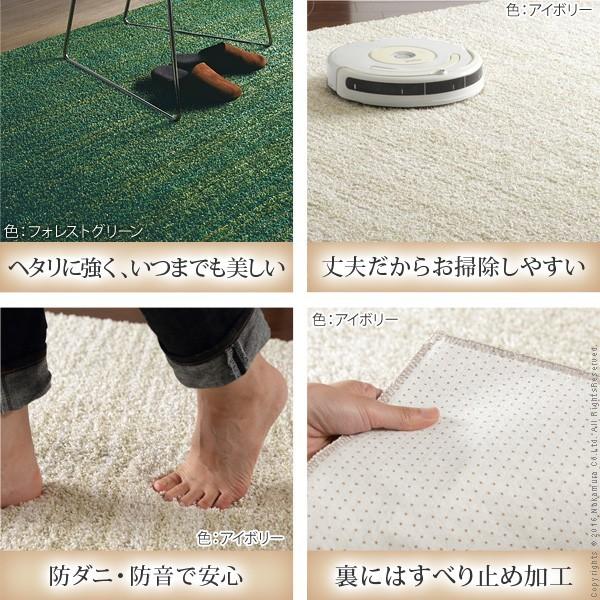 ラグ 防ダニ ミックスカラーラグ 〔ルーナ〕 250x200cm 長方形 3畳 三畳 防音 防炎 床暖房 ホットカーペット対応 日本製 代引不可_1