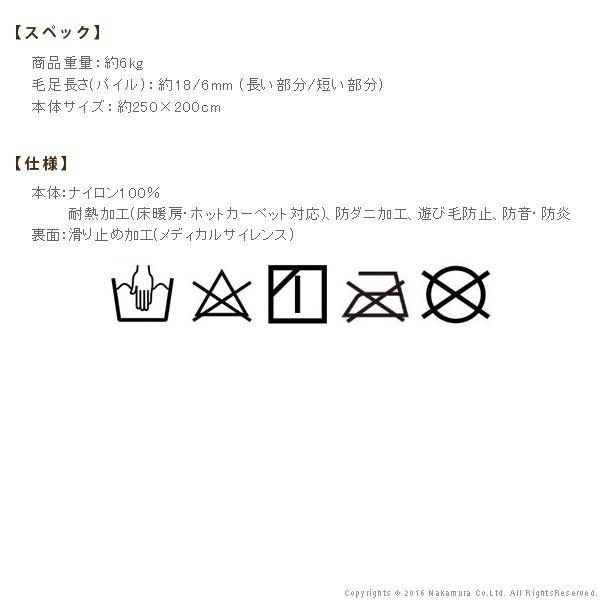 ラグ 防ダニ ミックスカラーラグ 〔ルーナ〕 250x200cm 長方形 3畳 三畳 防音 防炎 床暖房 ホットカーペット対応 日本製 代引不可_2