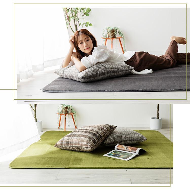 洗える オールシーズン ラグ 205×245 3畳 防ダニ 抗菌防臭 超極細