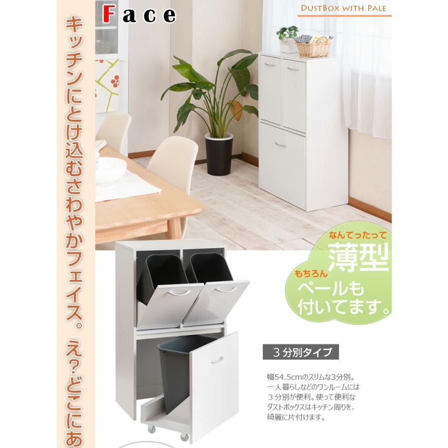 Face 3分別 ダストボックス ホワイト ごみ入れ ゴミ箱 スリム シンプル