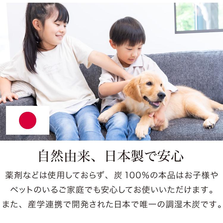 炭 木炭 除湿 調湿 脱臭 消臭剤 湿気 対策 結露 炭八3Lセット 3L中袋5個 400ml小袋2個 室内用 押入れ タンス 車内消臭 下駄箱 代引不可_12