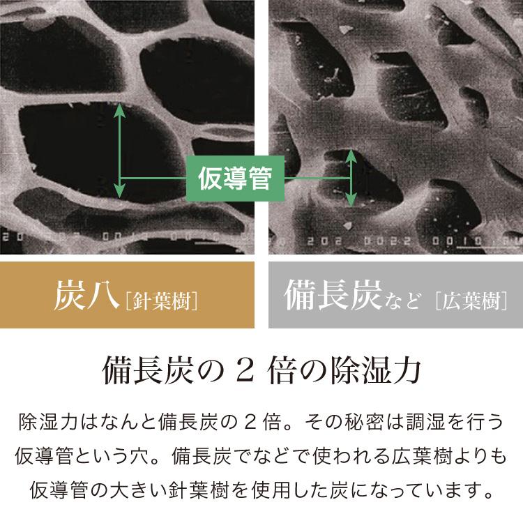 炭 木炭 除湿 調湿 脱臭 消臭剤 湿気 対策 結露 炭八3Lセット 3L中袋5個 400ml小袋2個 室内用 押入れ タンス 車内消臭 下駄箱 代引不可_3