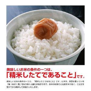 米 日本米 令和5年度産 山形県産 つや姫 5kg ご注文をいただいてから精米します。 精米無料 特別栽培米 新米 代引不可｜rcmdse｜02