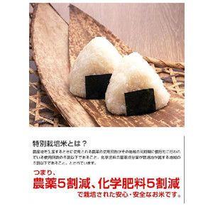 米 日本米 令和4年度産 山形県産 つや姫 15kg 