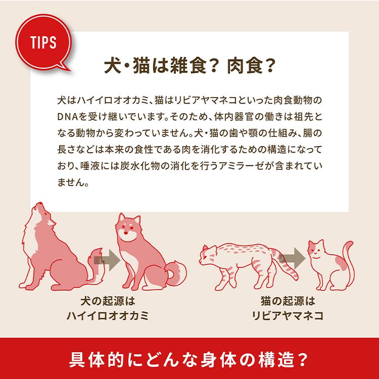 オリジン キトゥン 5.4kg 猫用 ねこ用 キャットフード 主食 ORIJEN ペットフード ペット 猫｜rcmdse｜04