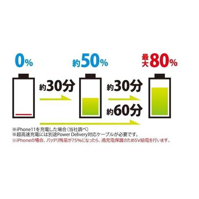 プリンストン UniTAP PD30W対応 Type-C超急速充電器 GaN 窒化ガリウム採用、Power Delivery対応、スイングプラグ PPS-PD30G｜rcmdse｜06