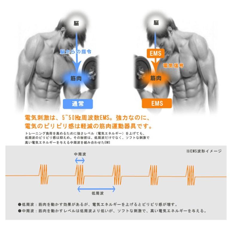 アクティブ パッド Ems 全身フィットネス 筋トレ トレーニング ボディ ジェルパッド フィットネス 運動 Usb 肩 太もも 腕 電気 ワークアウト 代引不可 S0 Sy 081 N リコメン堂生活館 通販 Yahoo ショッピング